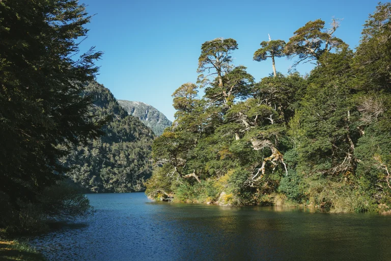 Entorno cerca del hotel Blest