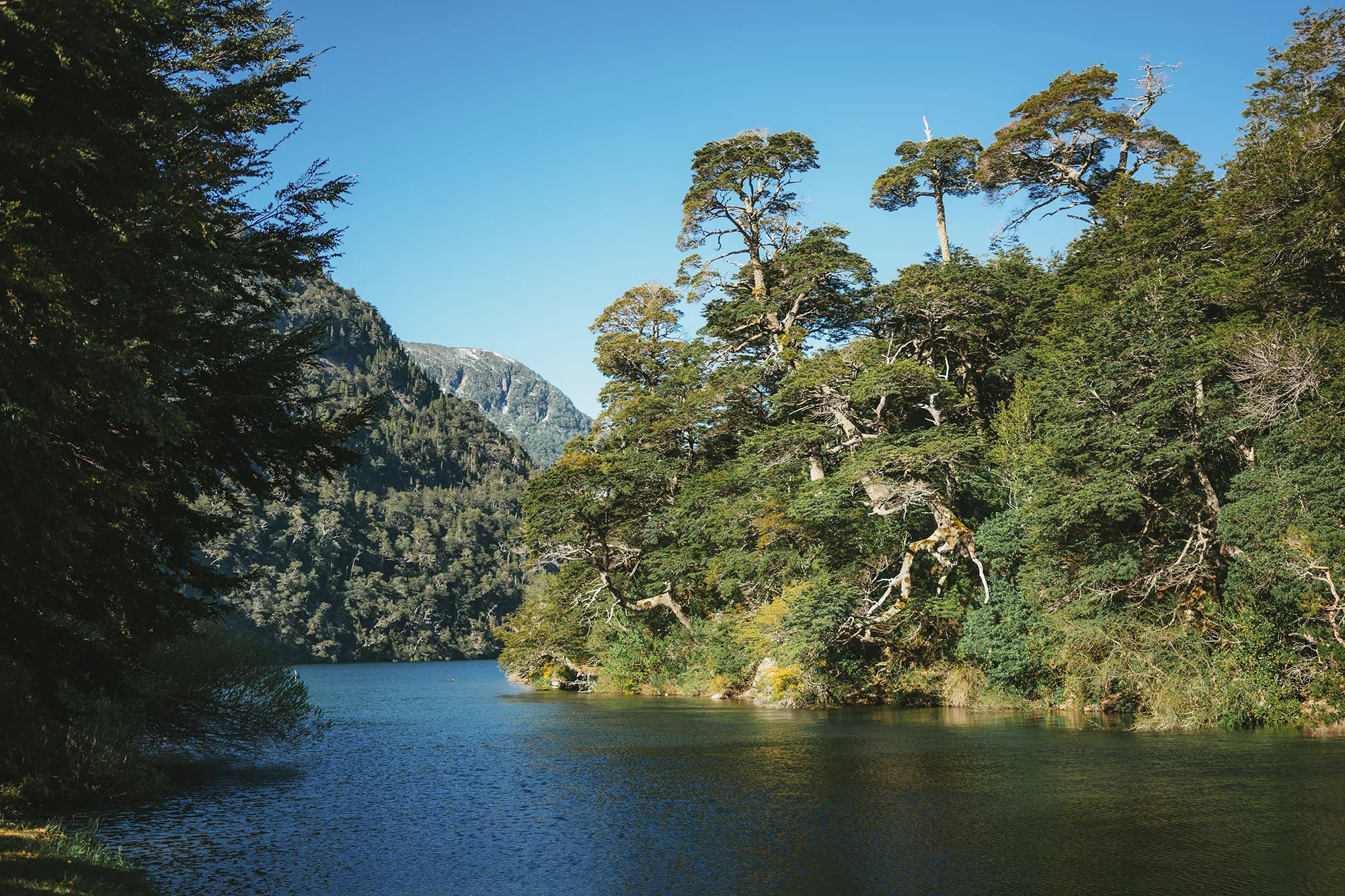 Entorno cerca del hotel Blest